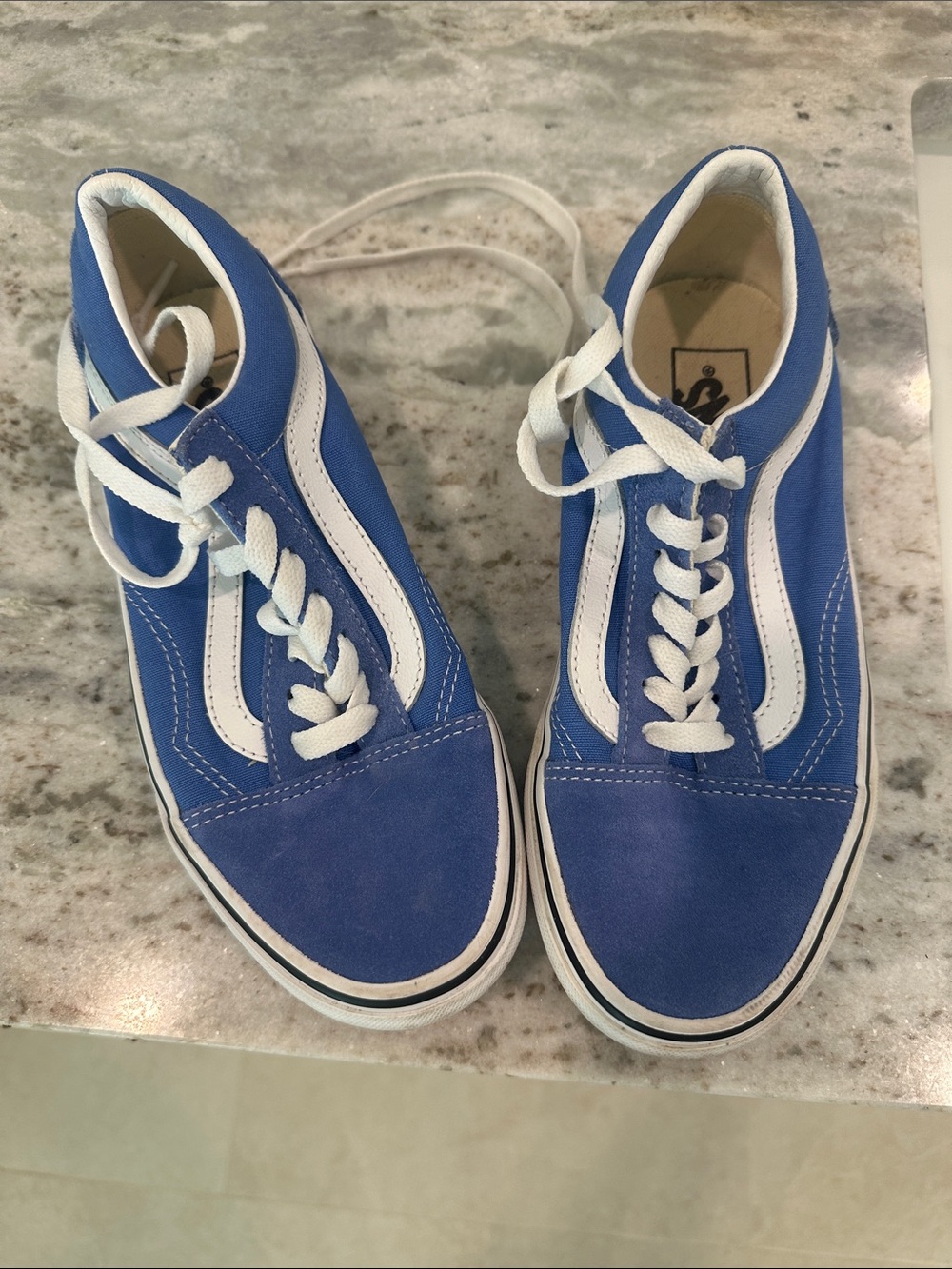 Vans Blue Low-Top Sneakers with White Sidestripe